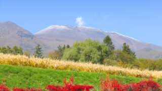 中小企業が地域密着型の金融機関と付き合うべき理由