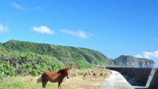 起業時に創業融資を借りなかった場合の4つのデメリット