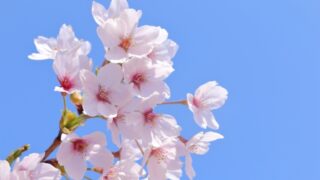 創業融資が重要な理由:その1 資金ショートを防ぐ