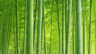 創業融資が重要な理由:その3 借金ではない、投資としての重要性